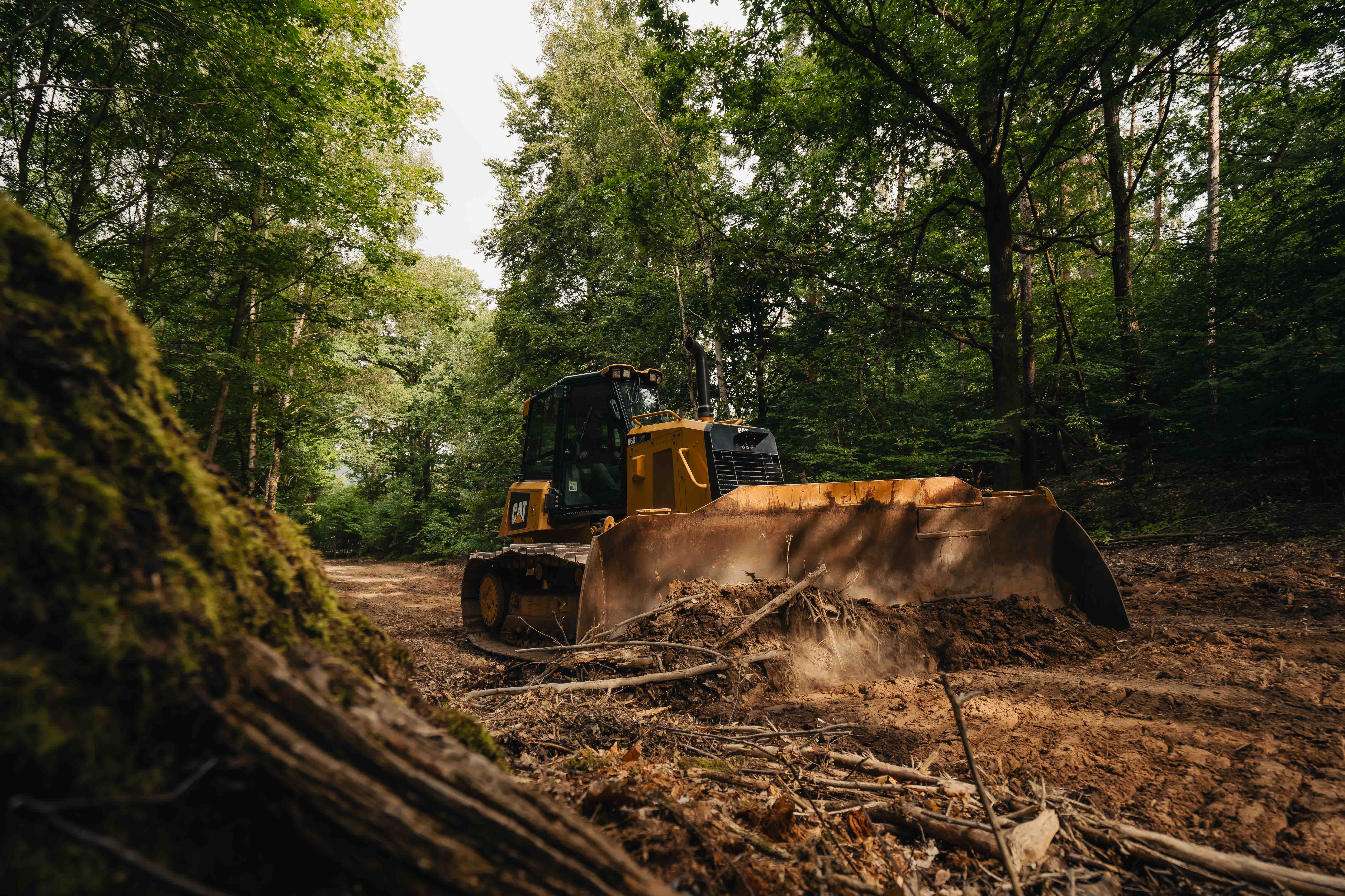 Planierraupe im Wald